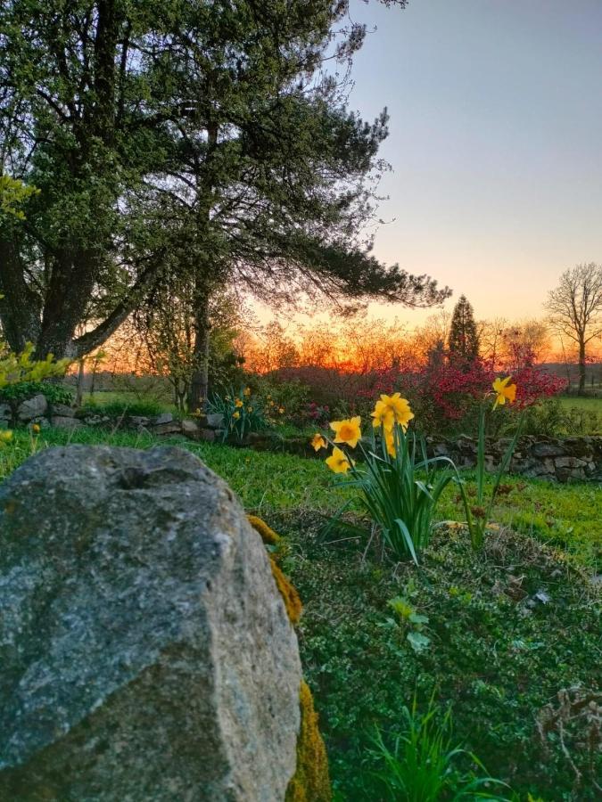 Gite Au Gre Du Vent - 12 Personnes - Calme, Nature Et Confort La Goutelle Buitenkant foto